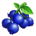 Blue Berries