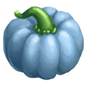  Australian Blue Squash