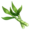 Water Bamboo