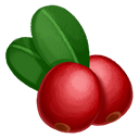 Cranberry