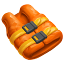 Life Vest