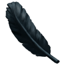 Black Feather