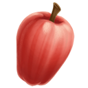 Malay apple