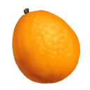 Fukushu Kumquat